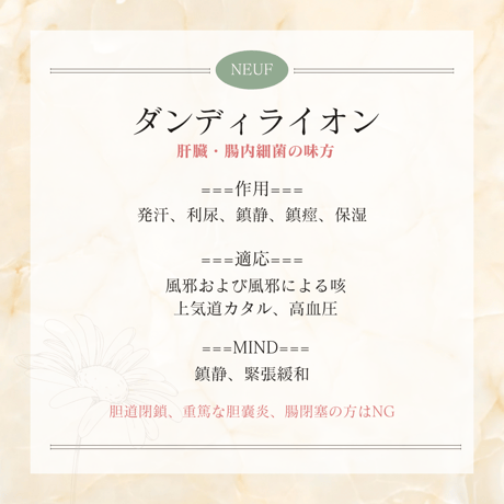 RELIEF：頼りたくなるライオン