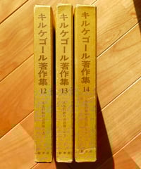 【函つき】ヘーゲル全集 (20巻＋別巻1・1986年) Suhrkamp 原書 ヘーゲル全集 (20巻＋別巻1・1986年) Suhrkamp 原書 ヘーゲル