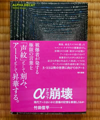 α崩壊 現代アートはいかに原爆の記憶を表現しうるか　竹田信平　現代書館　2014年