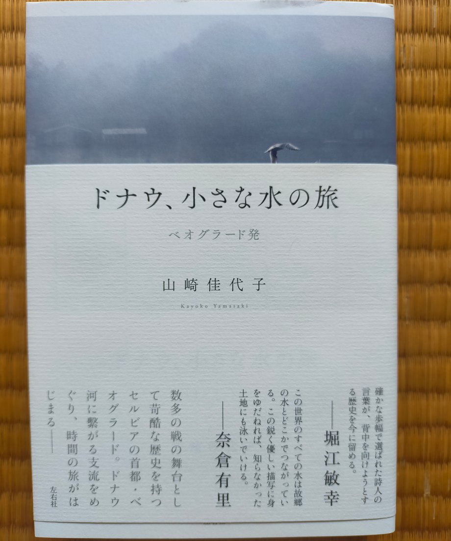 6646ec513cc7cf014f4be949
