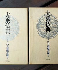 大乗仏典 ２・３巻　八千頌般若経 全２巻