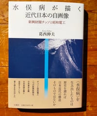 水俣病が描く近代日本の自画像 新興財閥チッソと昭和電工　葛西伸夫　石風社　2026年　☆新本