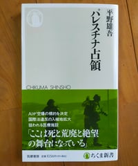 パレスチナ占領 (ちくま新書)  平野雄吾　2025年