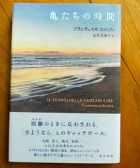 亀たちの時間　フランチェスカ・スコッティ　北代美和子（訳）　現代書館　2025年