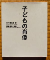 アメリカ現代詩101人集 新装版 D.W.ライト (編)、 沢崎順之助／森邦夫