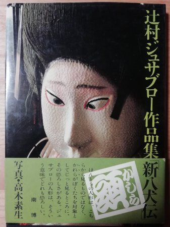 辻村ジュサブロー作品集 新八犬伝 | カライモブックス