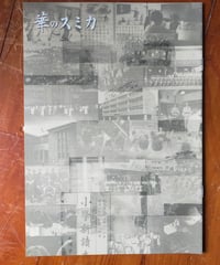 草木染染料植物図鑑　正・続・続続　3冊セット／山崎青樹著／美術出版社 草木染 染料植物図鑑（正・続・続続） 3冊セット 山崎青樹 美術出版社