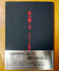 風を聴く木　大木あまり詩画集　ふらんす堂　1988年