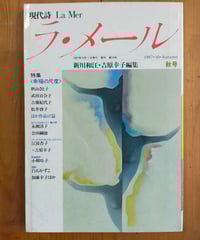 生きた、臥た、書いた 淵上毛錢の詩と生涯 前山光則 ☆新本