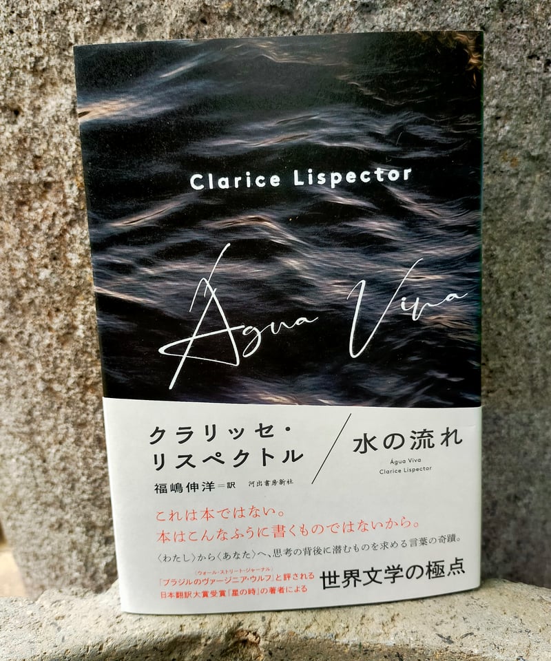 水の流れ クラリッセ・リスペクトル、福嶋 伸洋 (訳) 河出書房新