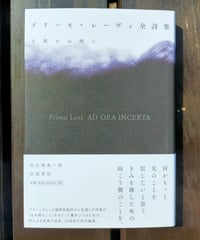 テリトリー論2 伊藤比呂美 | カライモブックス