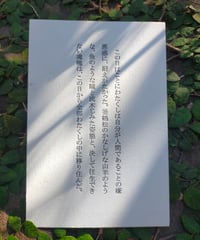 『苦海浄土』活版印刷ポストカード　「この日はことにわたくしは…」