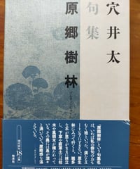 近藤芳美集第1巻〜第10巻岩波書店 近藤芳美集 全10巻 岩波書店 | カライモブックス