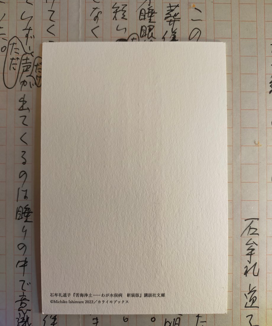 6558a98abe9f7e383736a630