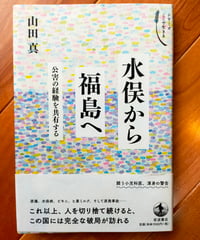 水俣から福島へ 公害の経験を共有する　山田真　岩波書店　2014年