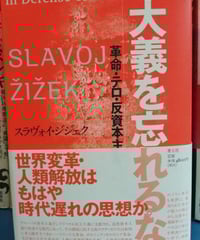 純粋理性批判 上 カント /宇都宮芳明 監訳 /以文社 純粋理性批判 全2巻 宇都宮芳明（監訳） | カライモブックス