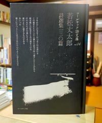 アメリカ現代詩101人集 新装版 D.W.ライト (編)、 沢崎順之助／森邦夫