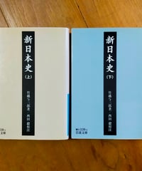 新日本史 全2巻　竹越与三郎（著）　西田毅（校注）　岩波文庫　2005年