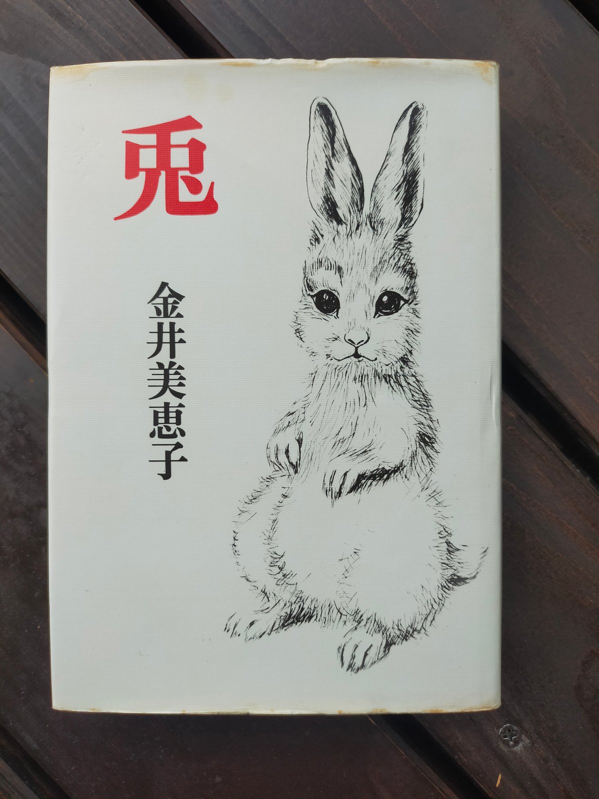 兎 金井美恵子 1973年 | カライモブックス