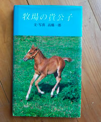 牧場の貴公子　高橋一郎（文・写真）　サンリオ　1980年
