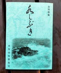 水しぶき 合同歌集　水俣市短歌教室　2005年