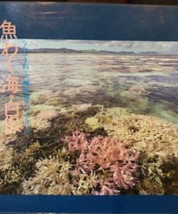 魚わく海・白保 なんでですね、この海に空港をつくるんですか