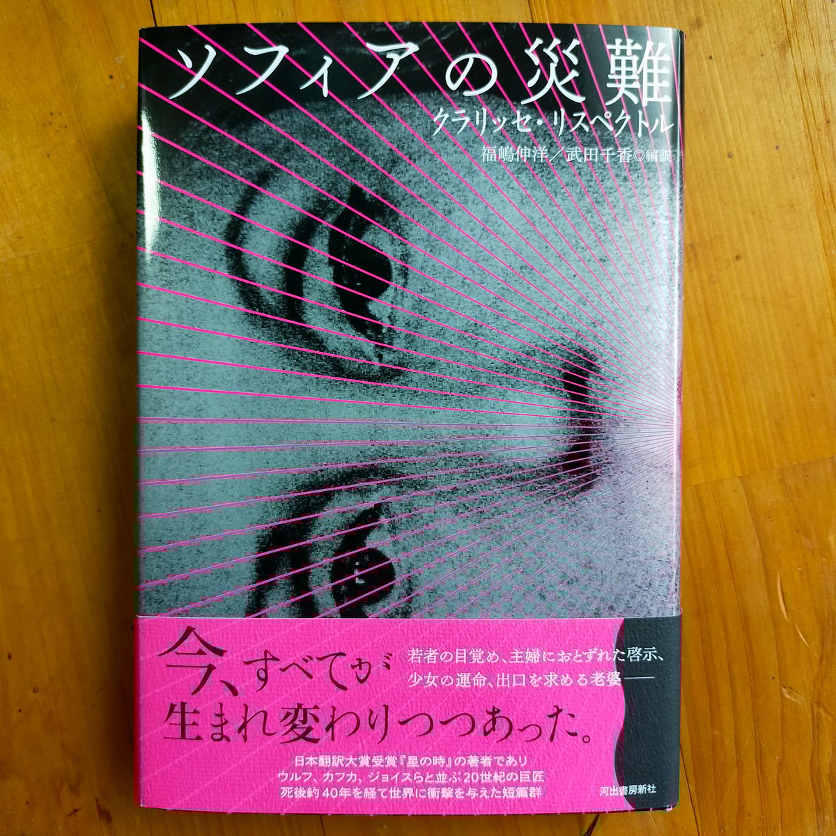 沙門 句集  /紅書房/福島せいぎ（単行本） 福島せいぎ句集『箱廻し』（はこまわし） - ふらんす堂
