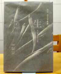 生 四〇年目の水俣病　田中史子写真集　ジャパンプレス・フォト　1994年