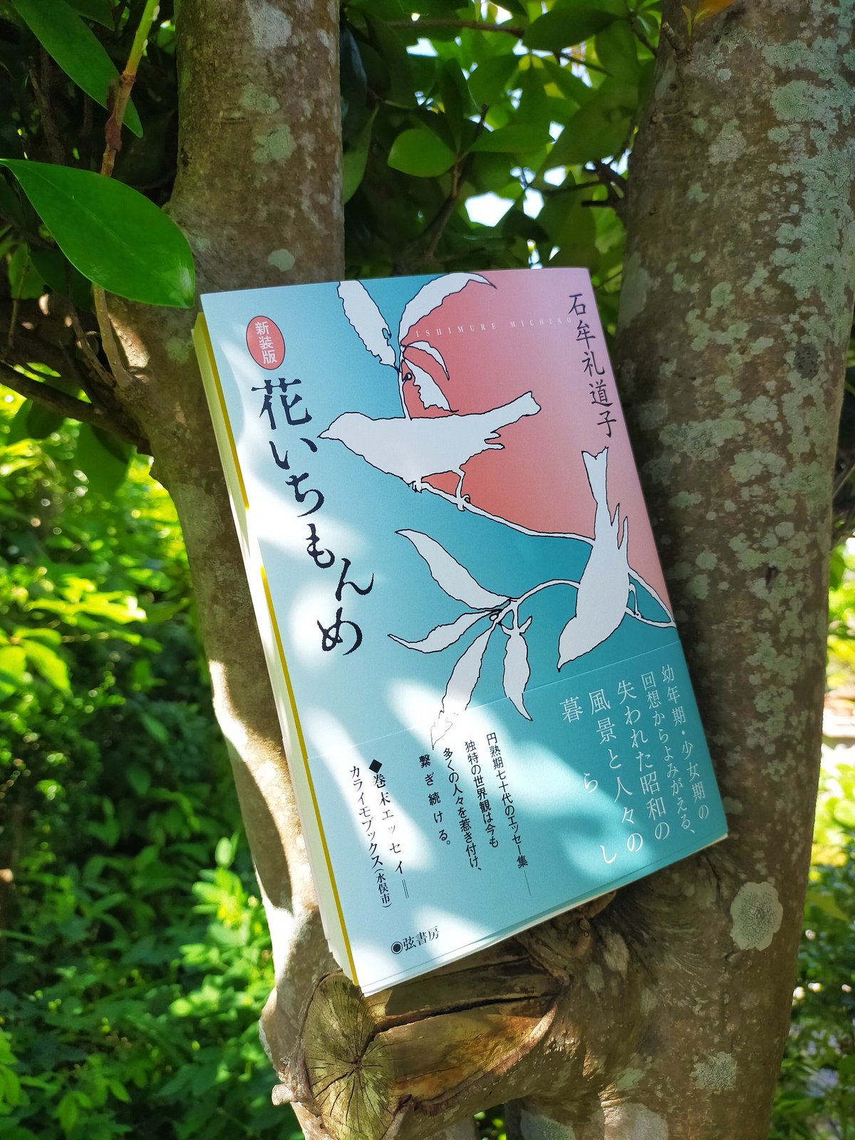 新装版》花いちもんめ 石牟礼道子（巻末エッセイ／カライモブックス