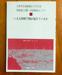 いま人形峠で何が起きているか　吉井川を放射能から守る会／放射能119番・市民相談センター（編）　1989年