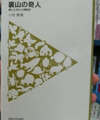 裏山の奇人 野にたゆたう博物学（小松貴）
