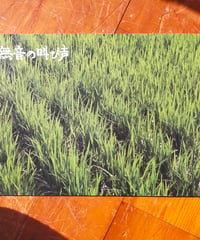 無音の叫び声　木村迪夫（出演）　映画パンフレット　2016年
