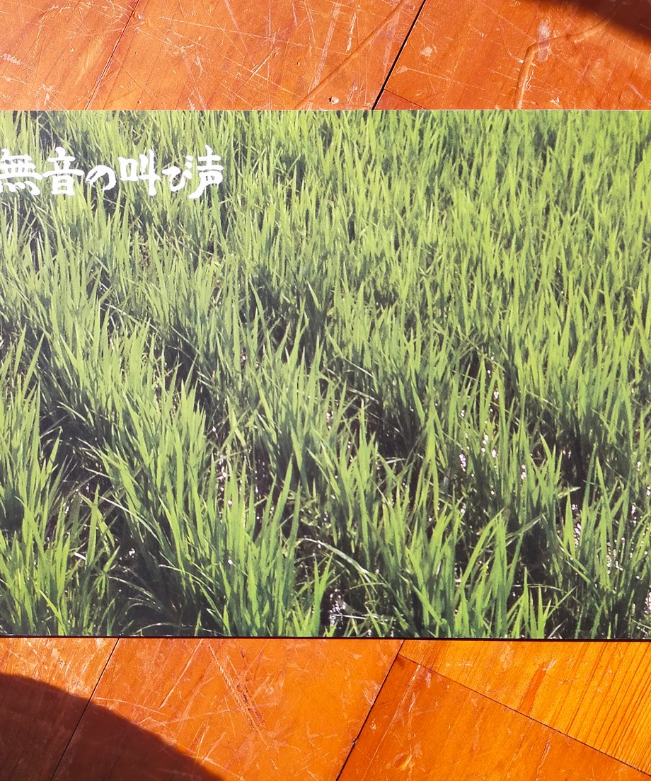 6972d4d558409925ffc8d5ed