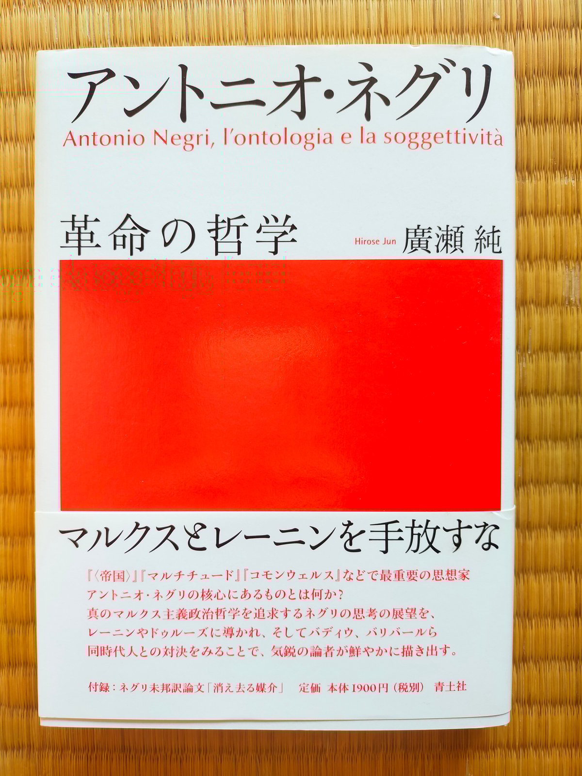 運命の哲理 アントニオ・ネグリ 革命の哲学 廣瀬純 | カライモブックス