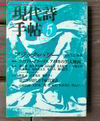 アメリカ現代詩101人集 新装版 D.W.ライト (編)、 沢崎順之助／森邦夫