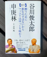 アメリカ現代詩101人集 新装版 D.W.ライト (編)、 沢崎順之助／森邦夫