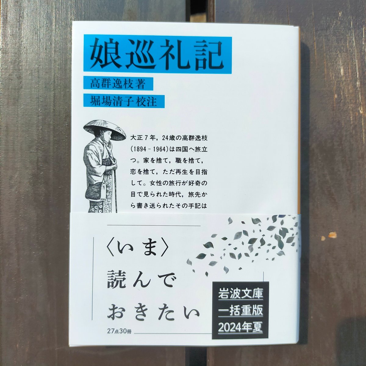 娘巡礼記 (岩波文庫) 高群逸枝、堀場清子（校注） 2024年 ☆新本