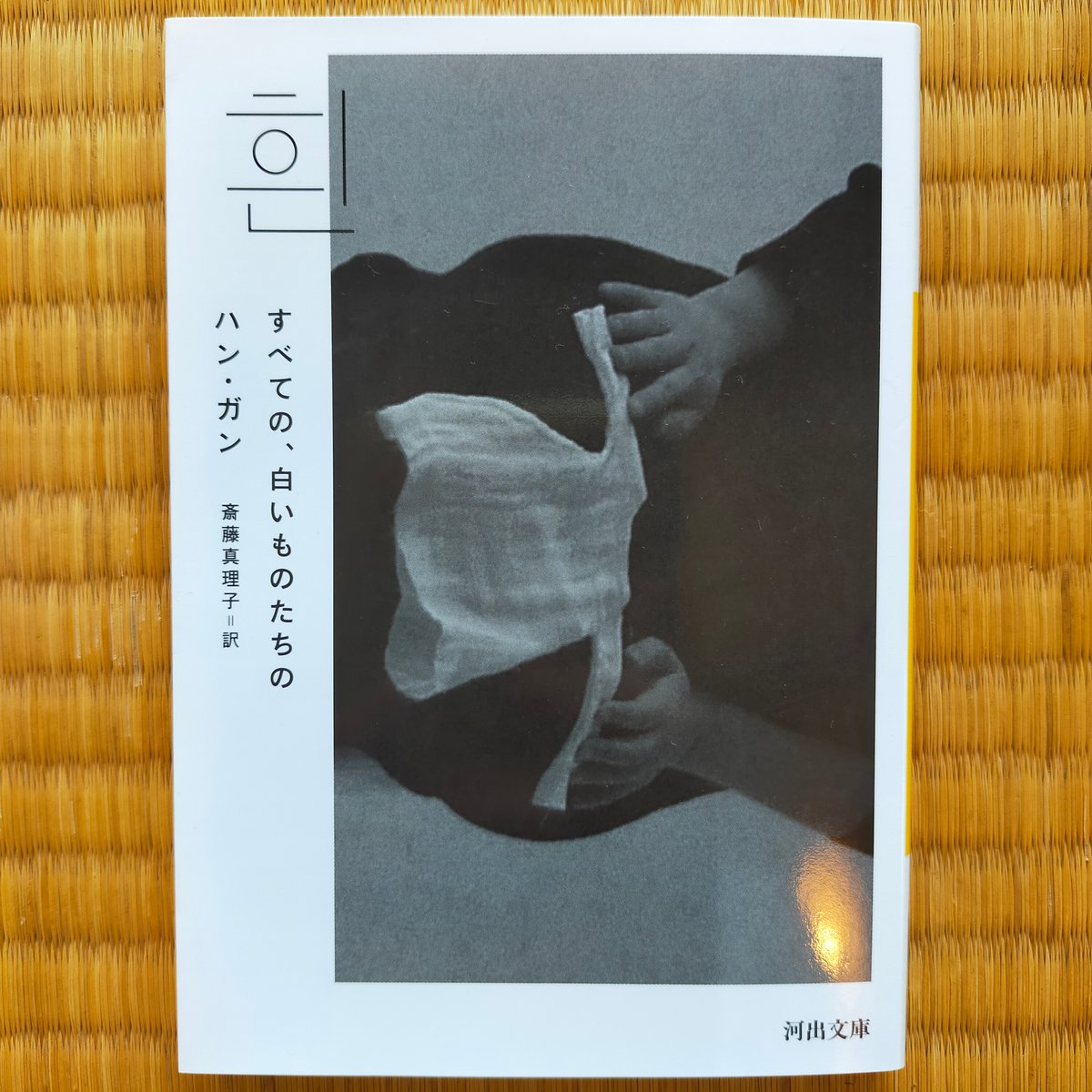 菜食主義者　すべての、白いものたちの　ハン・ガン Amazon.co.jp: すべての、白いものたちの (河出文庫 ハ 16-1