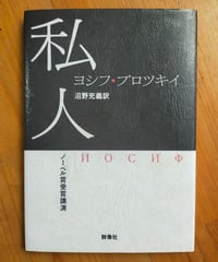 アメリカ現代詩101人集 新装版 D.W.ライト (編)、 沢崎順之助／森邦夫