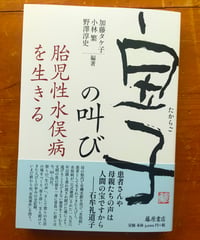 「宝子」の叫び 胎児性水俣病を生きる　加藤タケ子・小林繁・野澤淳史　藤原書店　2026年　☆新本