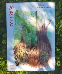 かたこと Vol.13　水俣病を語り継ぐ会　奥田直美（カライモブックス）寄稿　☆新本
