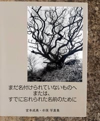 まだ名付けられていないものへ または、すでに忘れられた名前のために　宮本成美・水俣写真集　現代書館　2010年