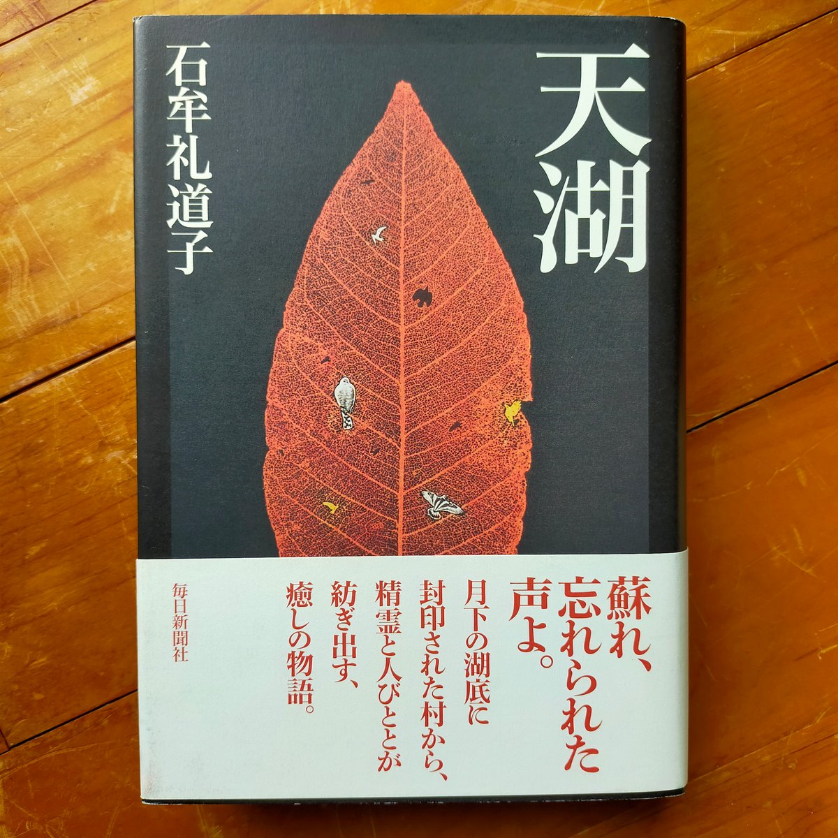 天湖 石牟礼道子 1997年 | カライモブックス