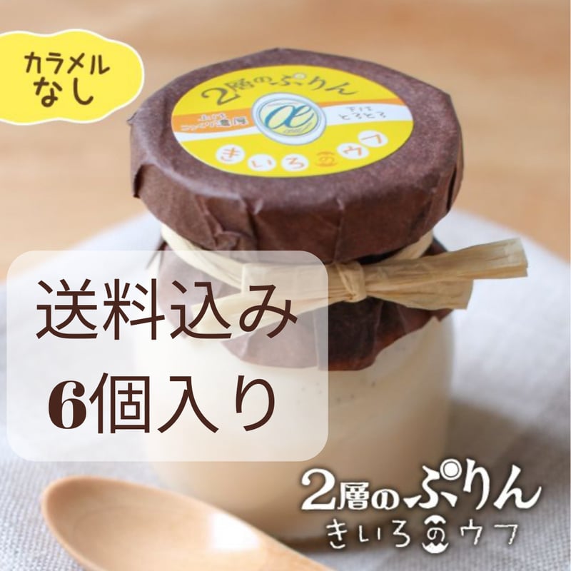 送料込み〉催事販売800個完売！！二層のぷりんカラメルなし 6個セット
