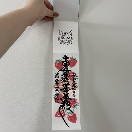 デカミニ