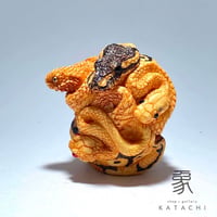 阿州蛇珠