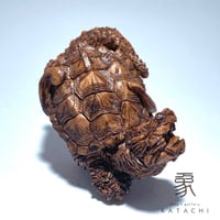 カミツキガメ