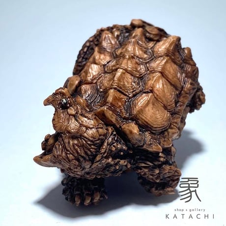 ワニガメ