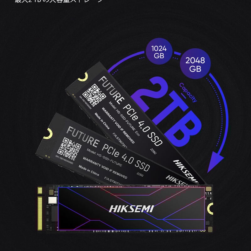 HIKSEMI(ハイクセミ) FUTURE 内蔵SSD NVMe PCIe Gen 4×4 P HIKSEMI(ハイクセミ) FUTURE 内蔵SSD NVMe PCIe Gen 4×4 P