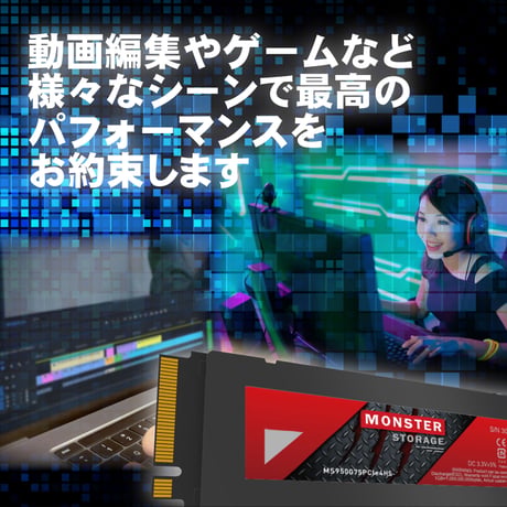 Monster Storage ヒートシンク搭載 内蔵SSD NVMe PCIe Gen 4×4 Lite PS5確認済み 国内5年保証